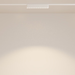 Modul LED, accesoriu pentru sina magnetica Radity, Points alb 12W 3000K 131683 universul-luminii.ro