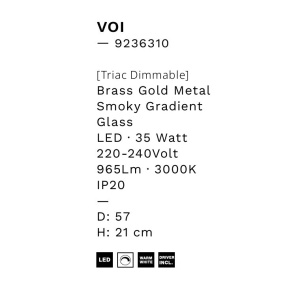 Plafoniera cu 5 spoturi LED, Metal, Sticla, Fumuriu, Voi 168593 universul-luminii.ro
