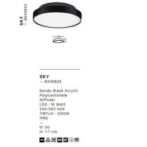 Plafoniera LED de exterior IP65 SKY D-30cm 236753 universul-luminii.ro