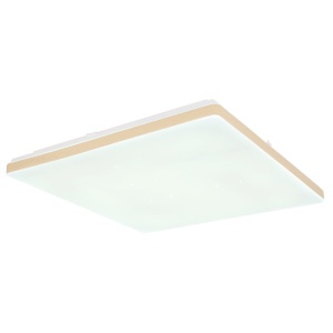 Plafoniera LED dimabila cu telecomanda ULLY 24W 203603 universul-luminii.ro