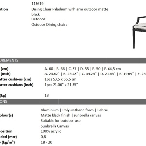 Scaun cu brate pentru interior si exterior Paladium, negru 113619 HZ - Img 4