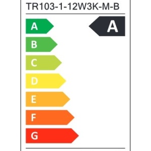 Spot LED, accesoriu pentru sina magnetica Radity, Focus negru 12W 3000K 220453 universul-luminii.ro