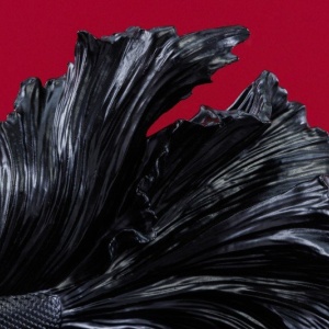 Statueta decorativa extravaganta Fisch Crowntail 35cm, negru - Img 3
