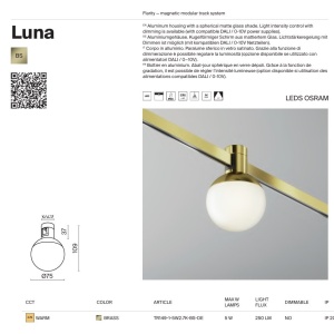 Accesoriu, Spot pentru Sistem Modular Magnetic Flarity, Luna alama 243164 universul-luminii.ro