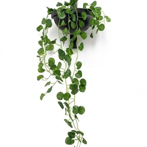 Aplica de perete design deosebit PLANT 238034 universul-luminii.ro