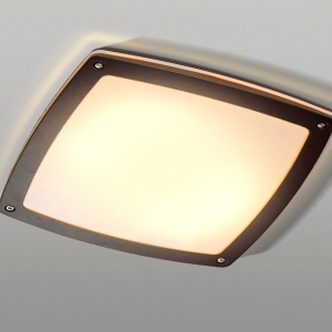 Aplica LED de perete / tavan pentru exterior IP54 FANO S 46504 universul-luminii.ro