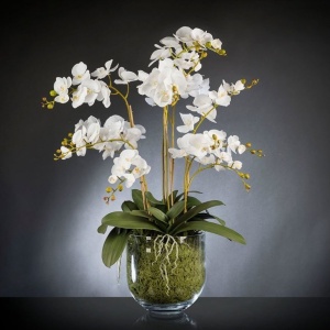 Aranjament floral de dimensiuni mari PHALENOPSIS MAXI 1142077.95