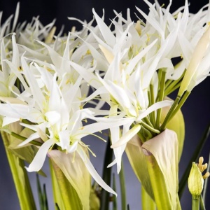 Aranjament floral, decor festiv, design LUX SPIDERLILLY, 50x100cm - Img 4