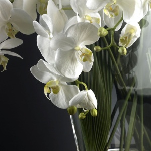 Aranjament floral design LUX TROP DOUBLE PALM 1140886.95 - Img 2
