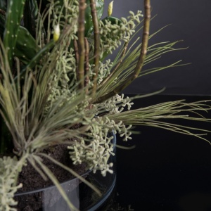 Aranjament floral elegant, design LUX ETERNITY FIG BRANCH GIANT - Img 3