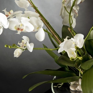 Aranjament floral elegant PLATE PHALENO 1141370.95 - Img 3