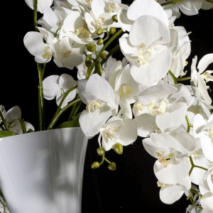 Aranjament floral inalt, design LUX VASE MADAME BUTTERFLY, 160cm 1141105.95 - Img 2