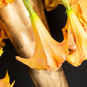 Aranjament floral mare CHIARA VASE WITH DATURA - Img 13