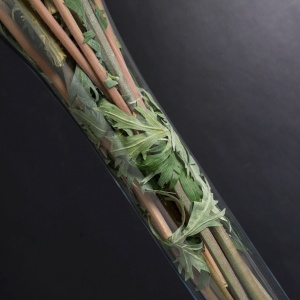 Aranjament floral mare ETERNITY LUDOVICA DELPHINIUM, 205cm - Img 3