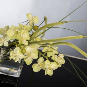 Aranjament floral mic decor festiv design LUX ETERNITY CUBO MINI PHALAENOPSI - Img 3