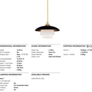 Pendul design deosebit BARRON 125594 universul-luminii.ro