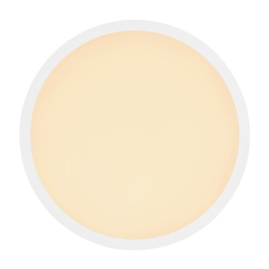 Plafoniera LED pentru baie IP44 SAPANA 106574 universul-luminii.ro