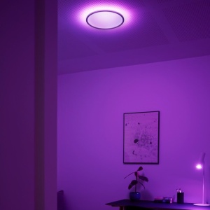 Plafoniera LED RGB CCT, IP54 Liva Smart alb, 36cm 221014 universul-luminii.ro