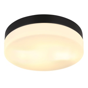 Plafoniera pentru exterior design modern IP44 Vranos negru, opal 24cm