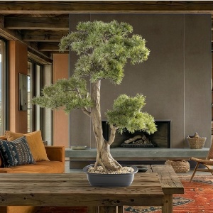 Planta artificiala, Chokkan BONSAI 83cm