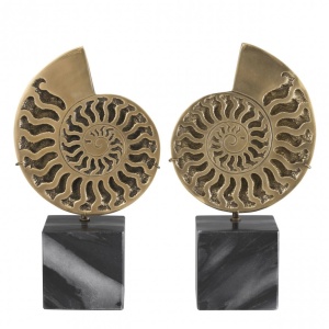 Set 2 obiecte decorative design deosebit LUX Ammonite 113731 HZ