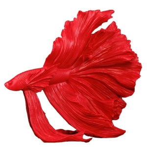 Statueta decorativa extravaganta Fisch Crowntail 35cm, rosu - Img 7