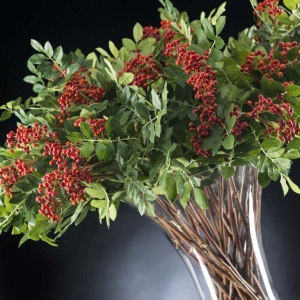 Aranjament floral design LUX, ETERNITY BOWL RED BERRIES 1141799.30 - Img 3