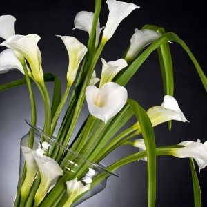 Aranjament floral elegant din cale albe, ETERNITY VANESSA 1141492.95 - Img 2