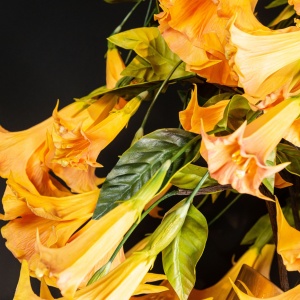 Aranjament floral mare CHIARA VASE WITH DATURA - Img 10