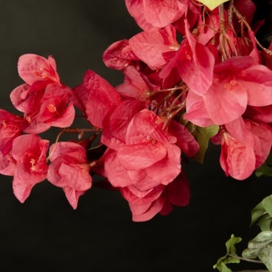 Aranjament floral mare decor festiv design LUX BOUGANVILLE TREE H-220cm - Img 2
