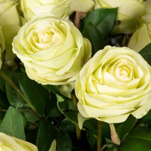 Aranjament floral mare SILVIA WITH ROSES - Img 3