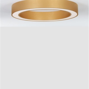 Lustra LED aplicata design modern OPAL 50W aurie - Img 4