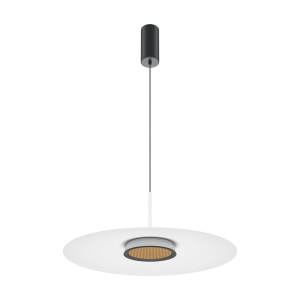 Lustra/Pendul LED design modern El 50cm alb