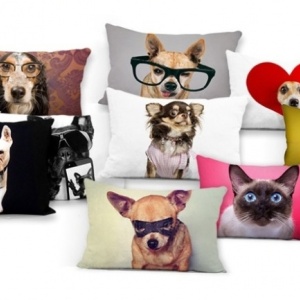 Perna moderna Cool Dog 40x40 - Img 3