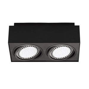 Plafoniera aplicata cu 2 spoturi directionabile BOXY CL 2, negru 20075-BK ZL