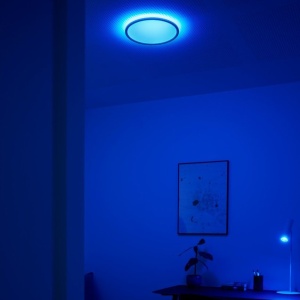 Plafoniera LED RGB CCT, IP54 Liva Smart alb, 36cm 221015 universul-luminii.ro