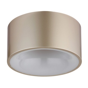 Plafoniera, Spot aplicat 15cm LED RAYMOND sampanie 591055 universul-luminii.ro