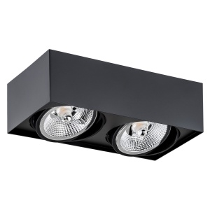 Plafoniera Spot aplicat tavan directionabil RODOS PLUS 2 negru 104885 universul-luminii.ro