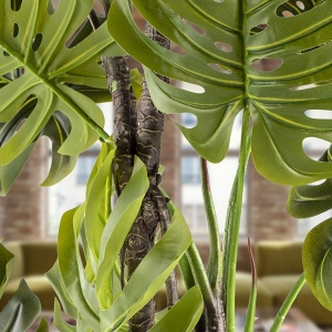 Planta artificiala decorativa Monstera H210 - Img 5