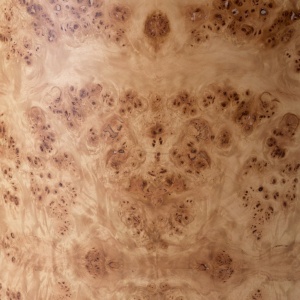 Scaun design LUX, Furnir Burl Mappa, Maro, Arcadia - Img 7