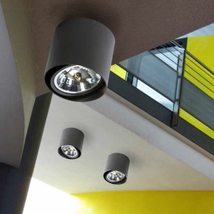 Spot aplicat directionabil de tavan/plafon ALIX negru ZZ AZ1357 81065 universul-luminii.ro