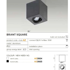 Spot aplicat tavan/plafon stil modern Brant 1 SQUARE negru 71335 universul-luminii.ro