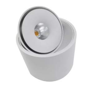 Spot LED aplicat directionabil de tavan/plafon BOSTON TUBE alb ZZ AZ3469 80585 universul-luminii.ro