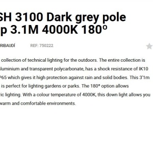 Stalp LED iluminat exterior simetric 180º IP65 RUSH 310cm 4000K 129065 universul-luminii.ro