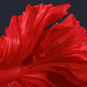 Statueta decorativa extravaganta Fisch Crowntail 35cm, rosu - Img 4