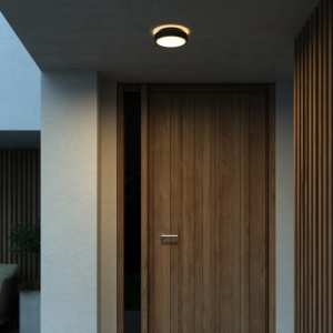 Aplica de perete / tavan exterior IP54 Oliver Black 221376 universul-luminii.ro