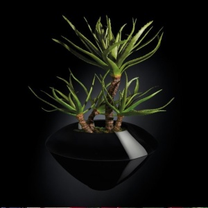 Aranjament floral design LUX, CAIRO IN SHINY VASE, negru 150cm 1141234.96
