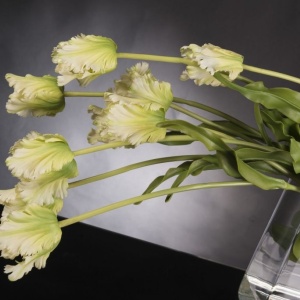 Aranjament floral elegant, design LUX cu lalele FRENCH TULIP 1141706.61 - Img 2