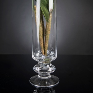Aranjament floral elegant, design LUX ETERNITY DENDROBIUM ORCHID PLANT - Img 2