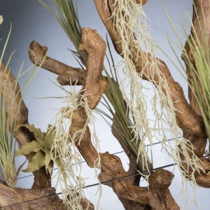 Aranjament floral elegant EASTER GRASS, 60x50cm - Img 5